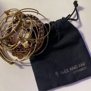 Alex and Ani Bracelet Stack - 12pcs